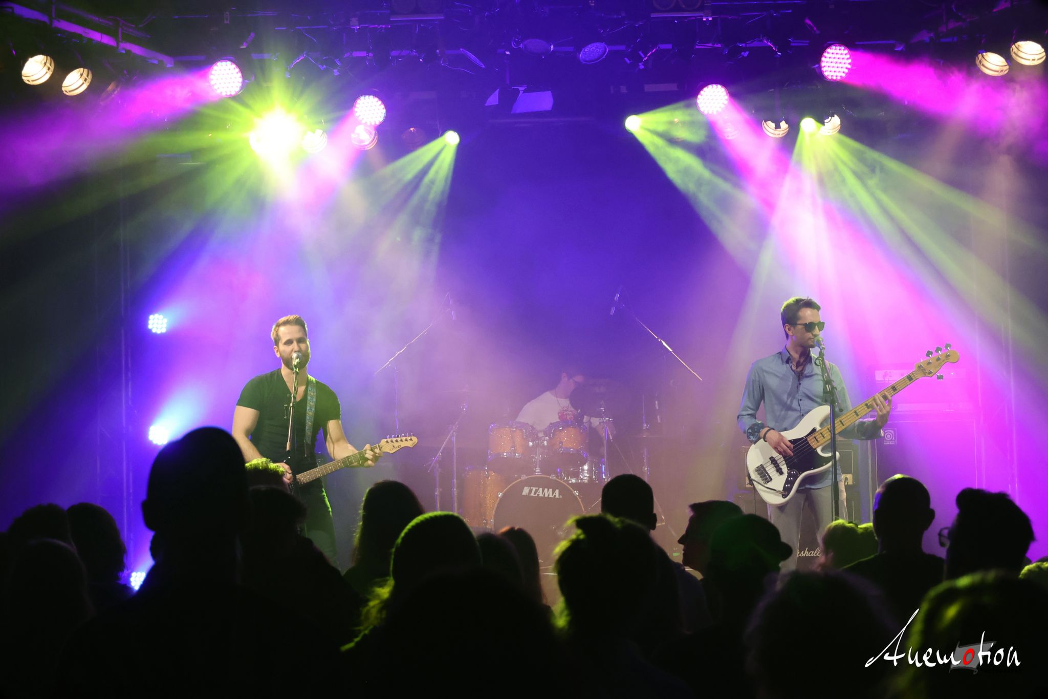 ElephantsFalling (31)